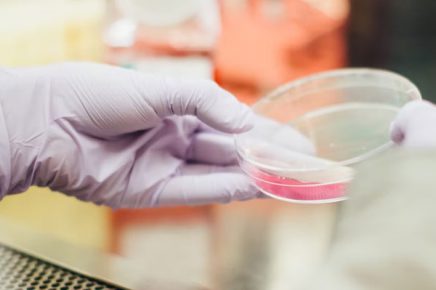 The team members of biofly Biotechnology (Chengdu) Co., Ltd. have more than 20 years of biopharmaceutical experience